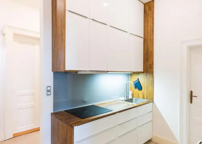 Apartment Manes Prague